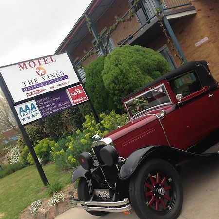 The Vines Motel & Cottages Stanthorpe Exteriér fotografie