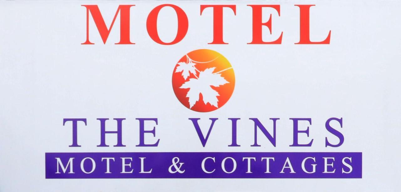The Vines Motel & Cottages Stanthorpe Exteriér fotografie
